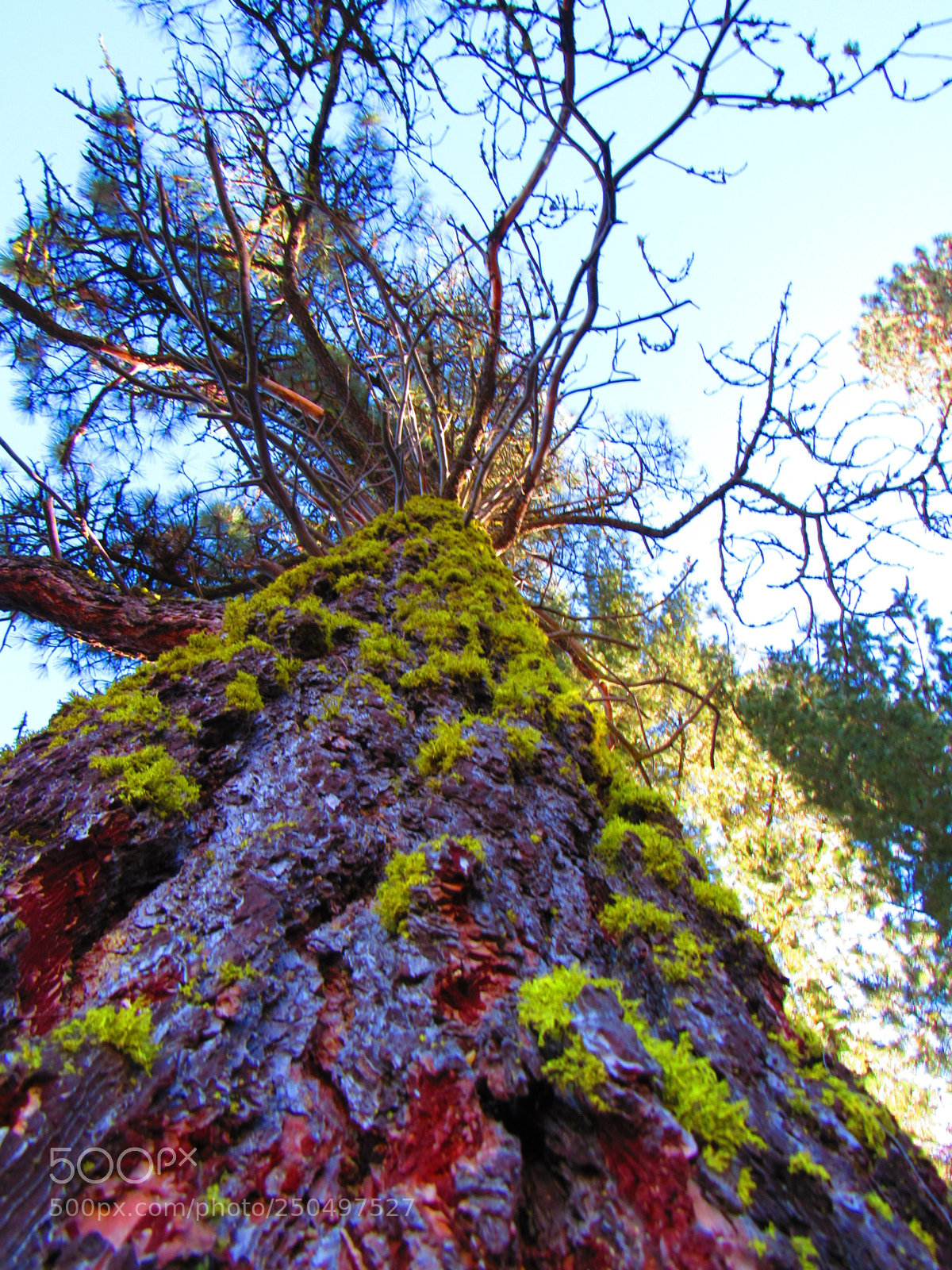 Canon PowerShot SX530 HS sample photo. Img photography
