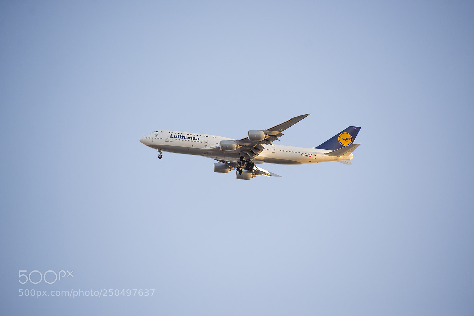 Nikon D600 sample photo. Boeing 747 lufthansa photography