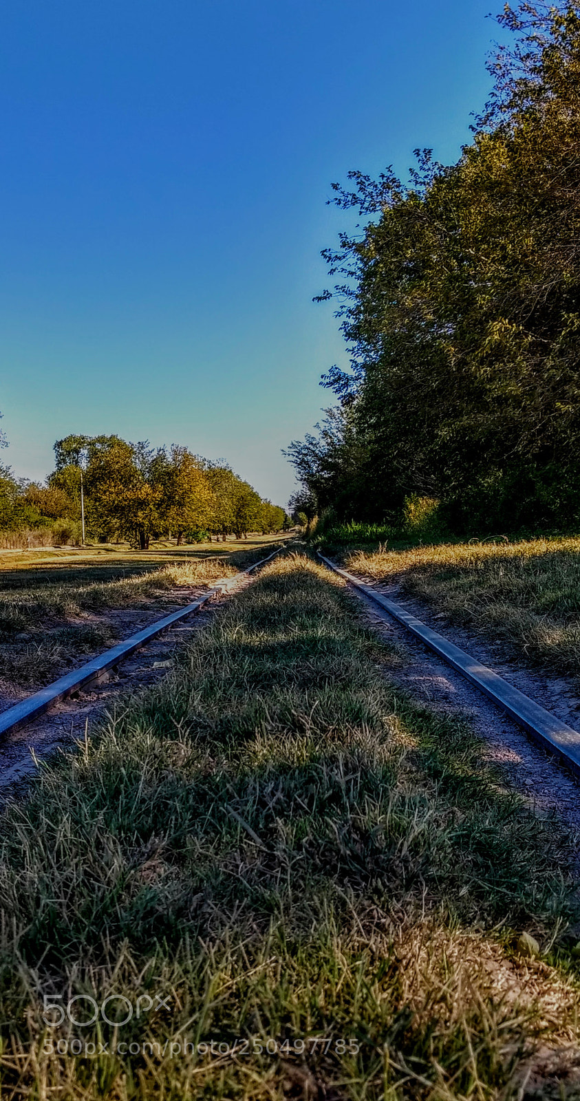 Motorola Moto G (4) sample photo. The solitary rail photography