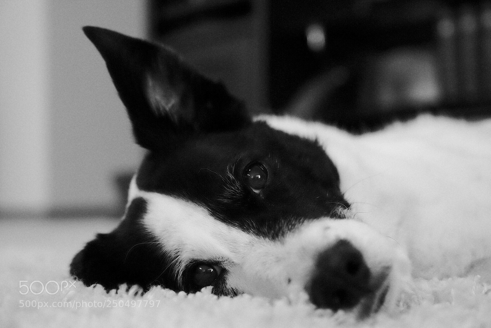 Fujifilm X-T1 sample photo. Tgif photography