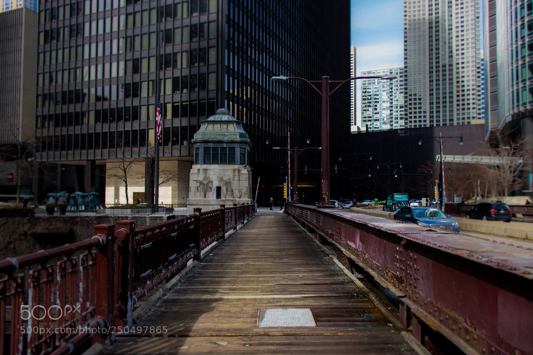 Canon EOS 200D (EOS Rebel SL2 / EOS Kiss X9) sample photo. Chicago bridge photography