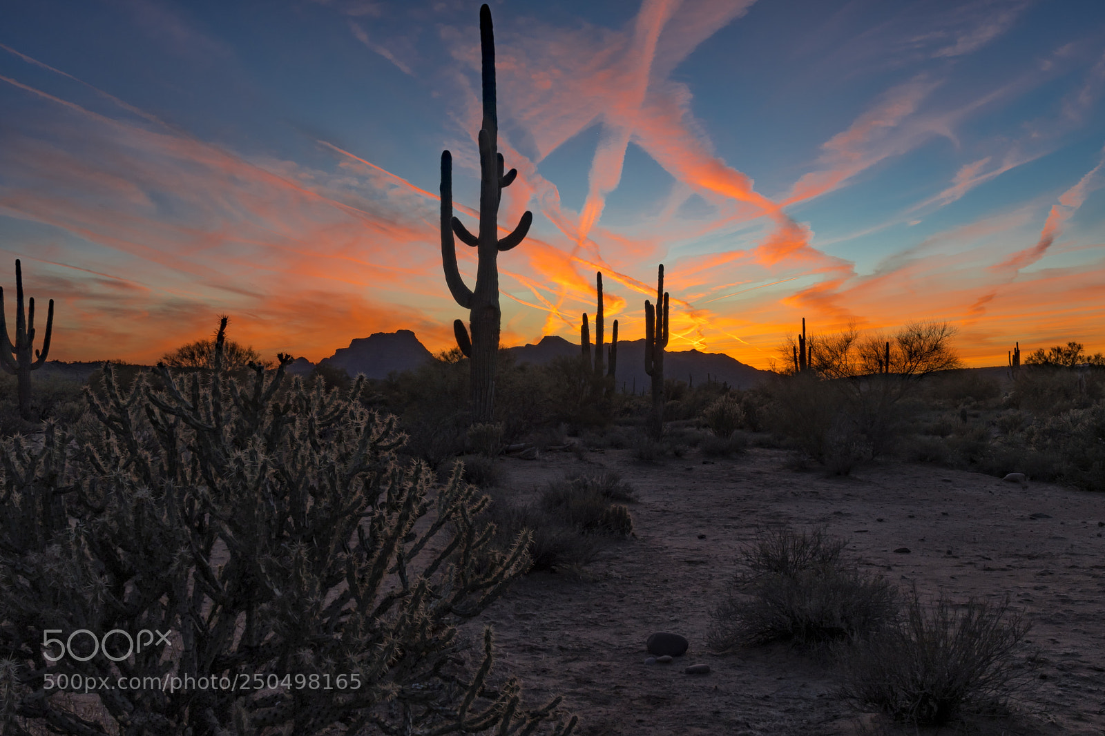 Nikon D500 sample photo. Glowing sky's photography
