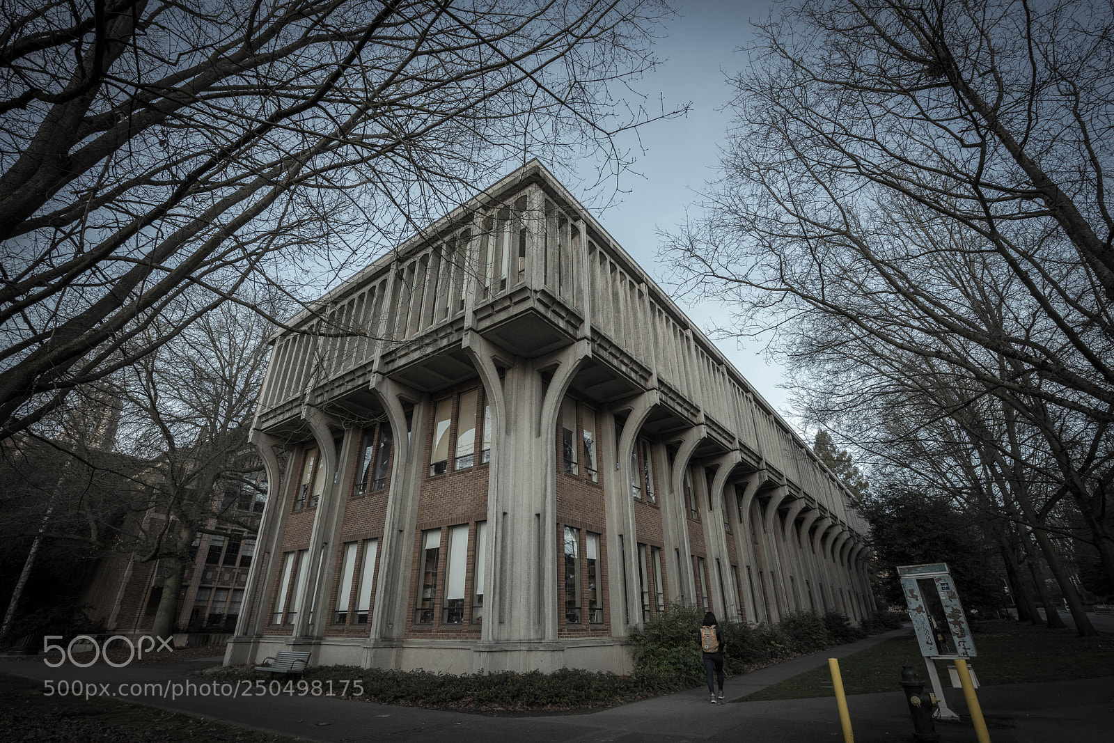 Sony a7R II sample photo. Muted silence photography