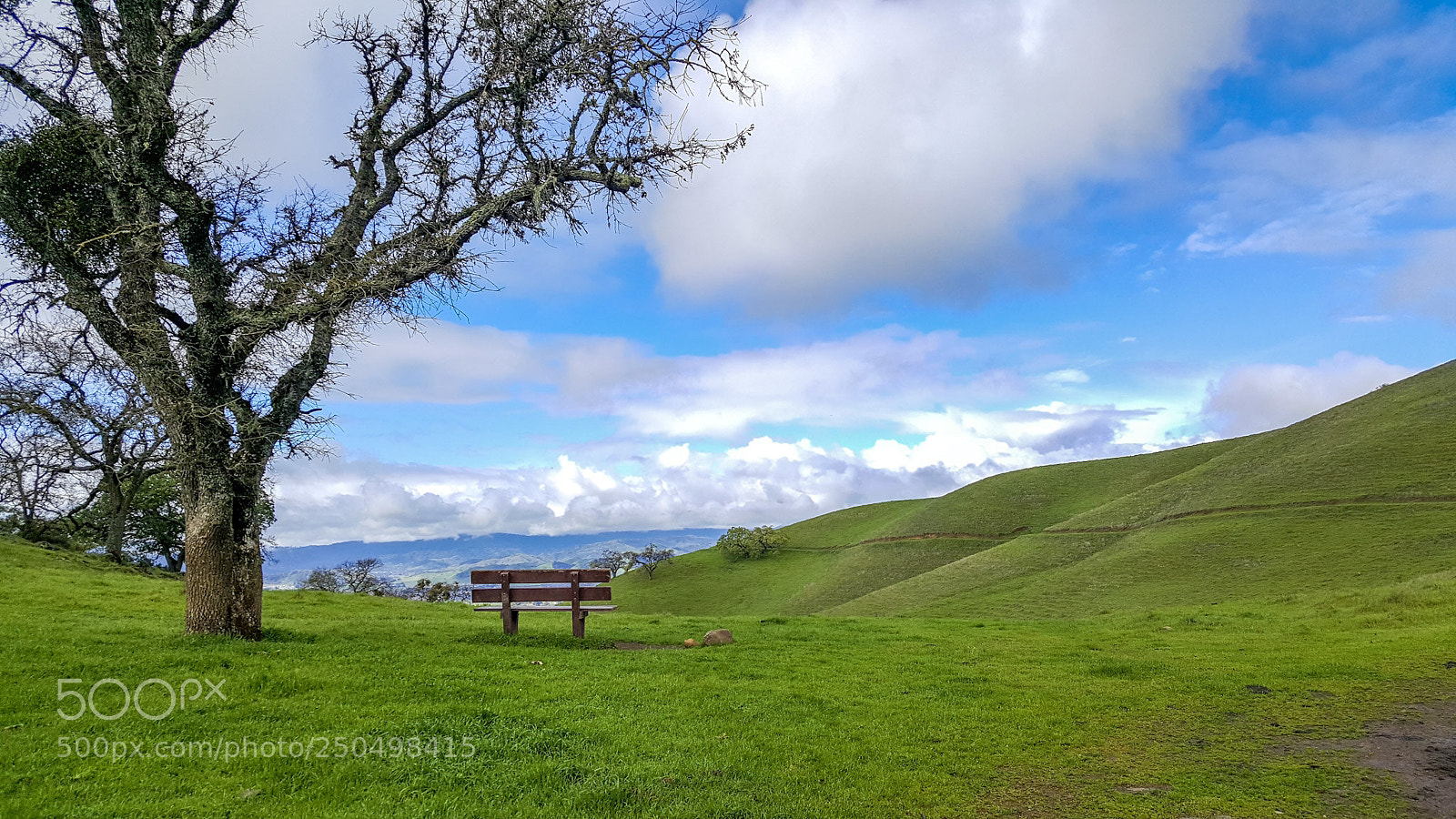 Samsung Galaxy S7 sample photo. Northern california spring photography