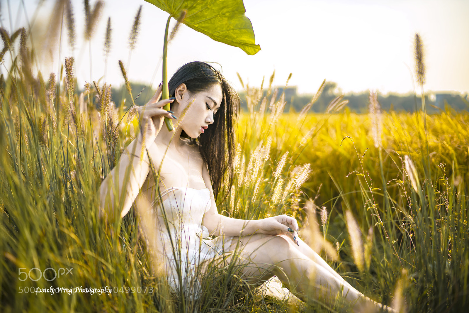 Sony a7R II sample photo. Untitled photography