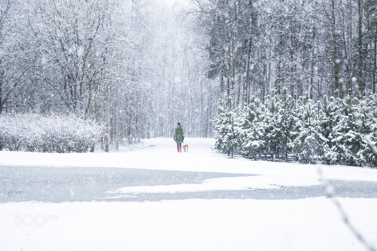 Nikon D700 sample photo. Girl walking the dog photography