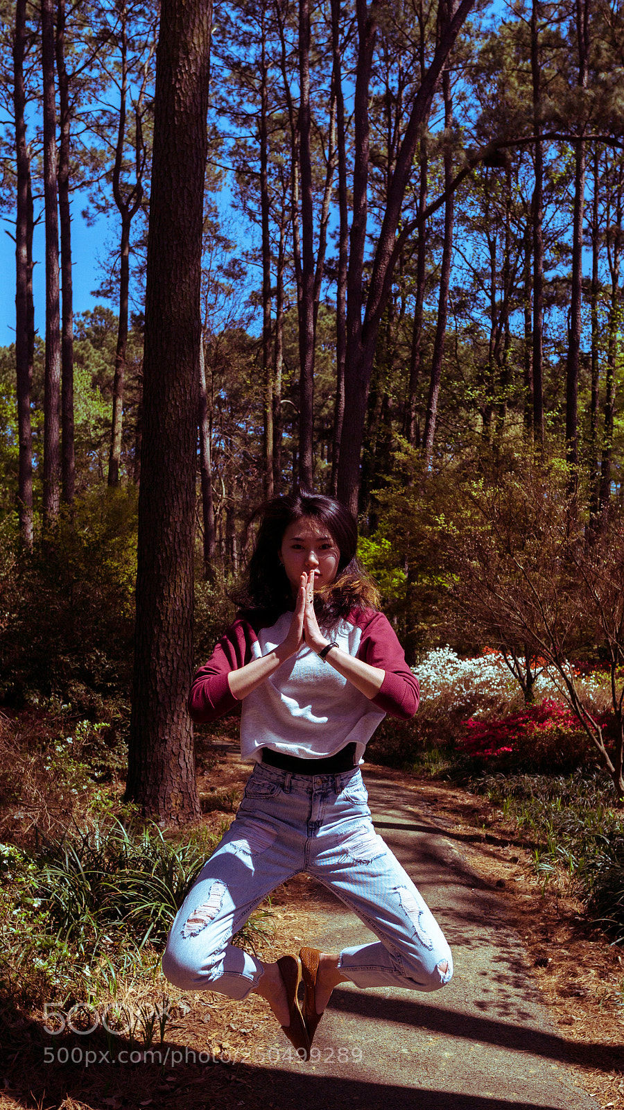 Sony a6000 sample photo. Dsc07322-2.jpg photography