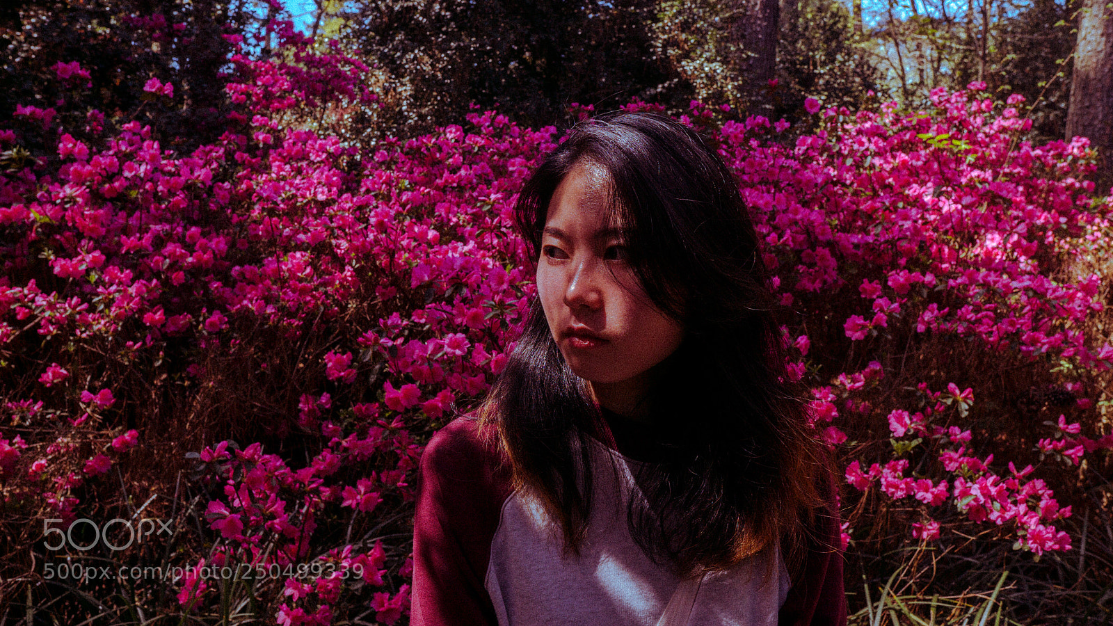 Sony a6000 sample photo. Dsc07297-3.jpg photography
