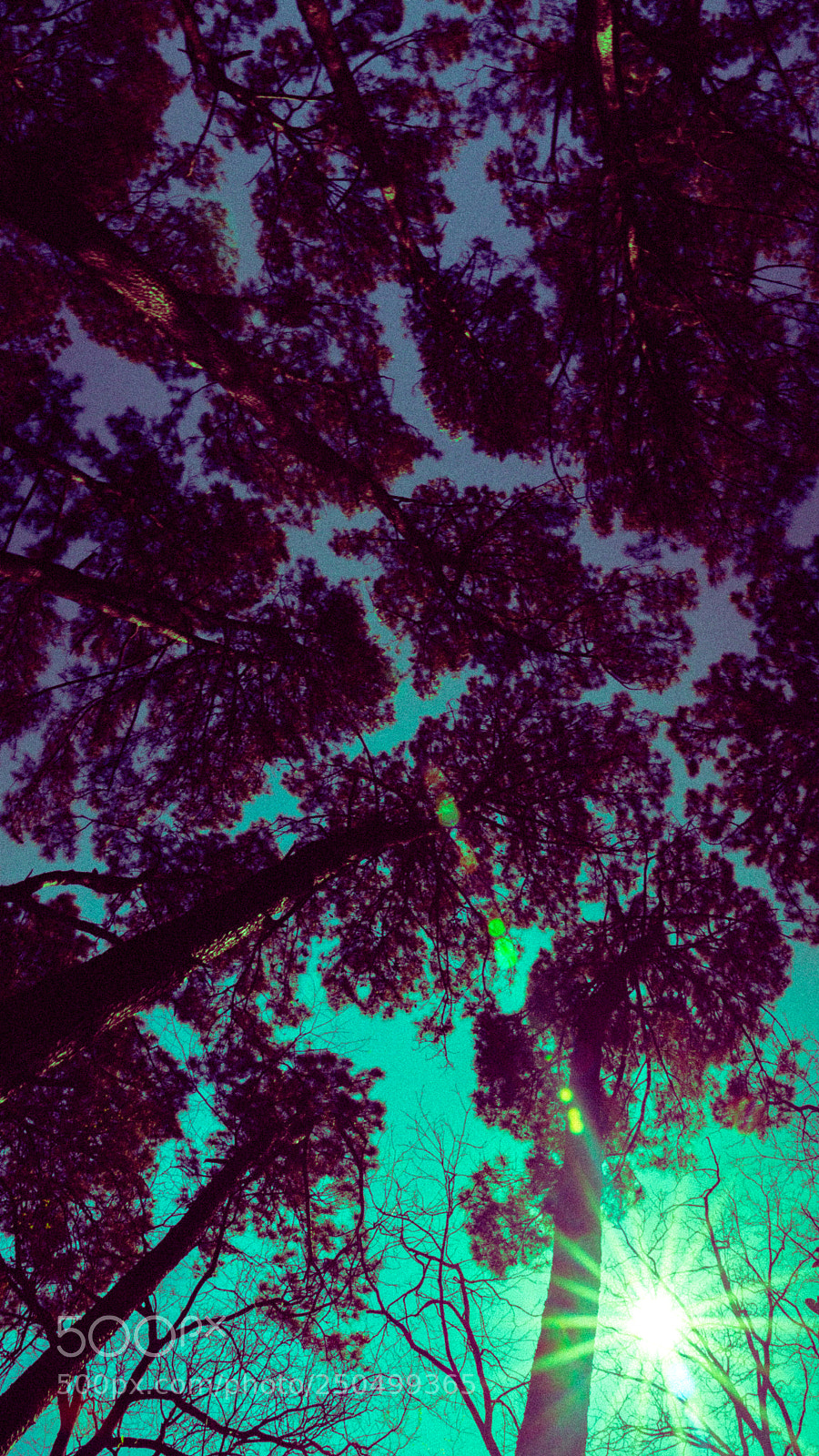 Sony a6000 sample photo. Dsc07331-3.jpg photography