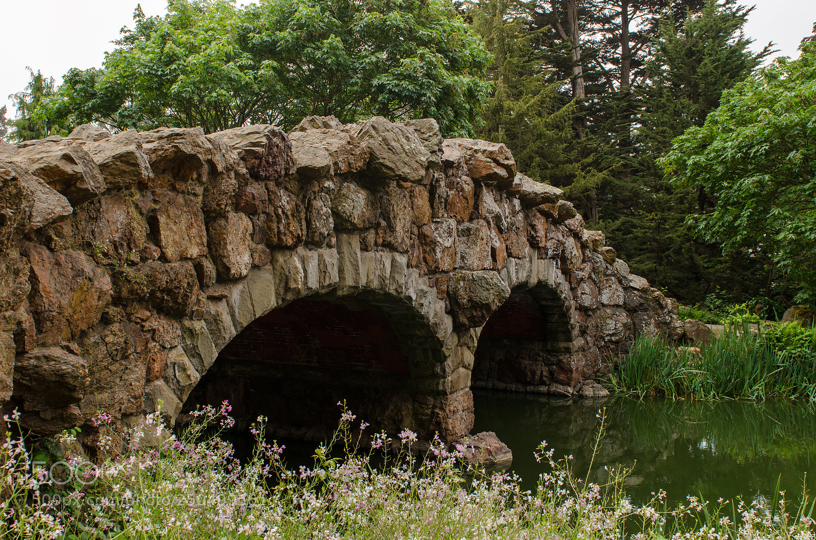 Nikon D5100 sample photo. A bridge across forever photography