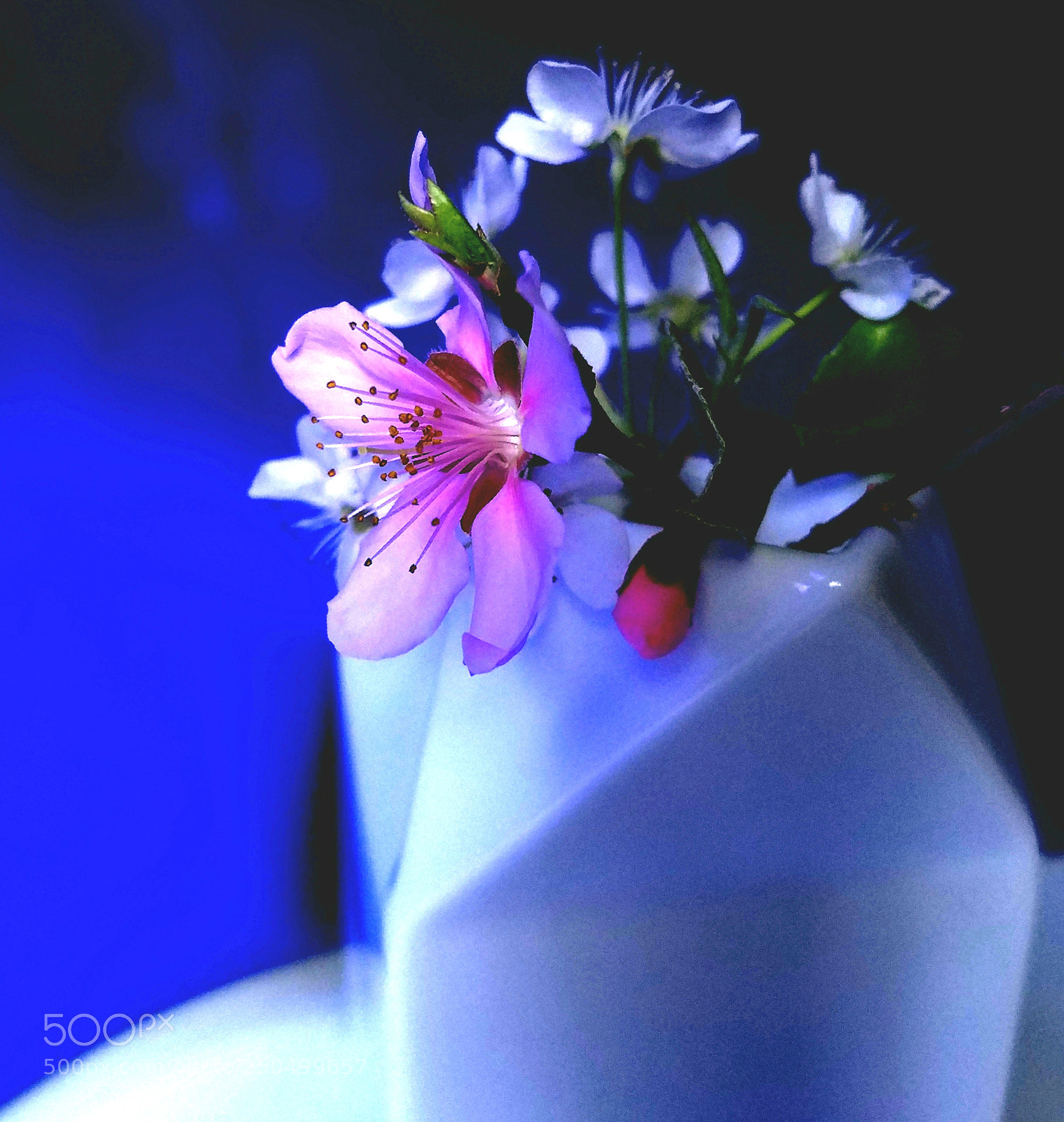 Samsung Galaxy S7 Edge sample photo. Little fruit blossoms bouquet photography