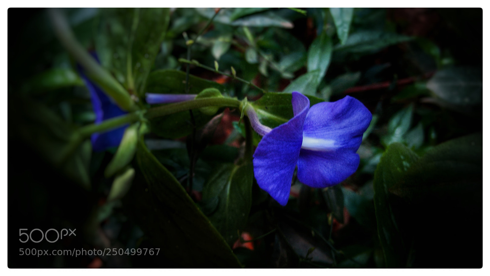 Motorola Moto G (2nd Gen) sample photo. Untitled photography