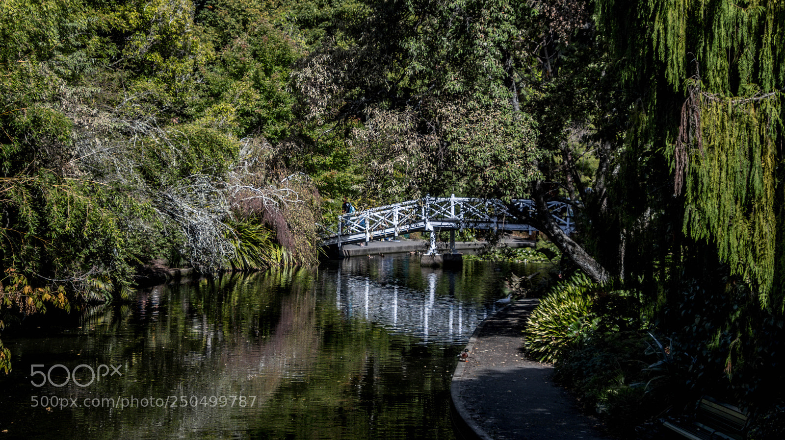 Canon EOS 80D sample photo. Enchanting river photography