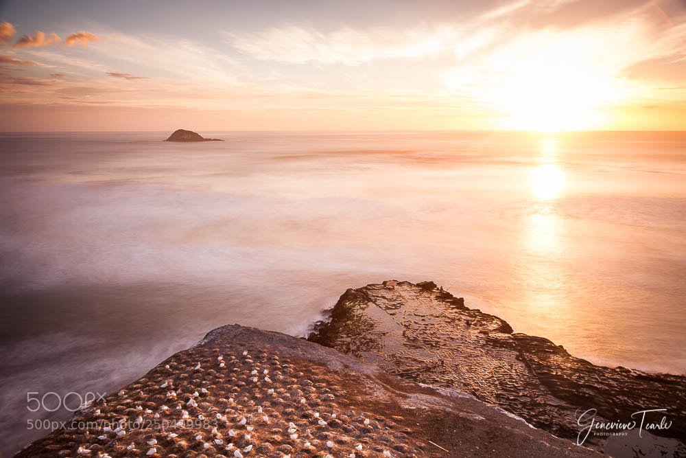 Canon EOS 5D Mark II sample photo. Golden glow photography