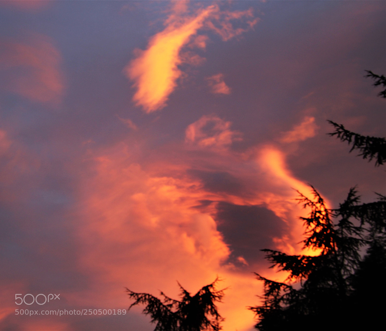 Canon EOS 1300D (EOS Rebel T6 / EOS Kiss X80) sample photo. Buckle of fire photography