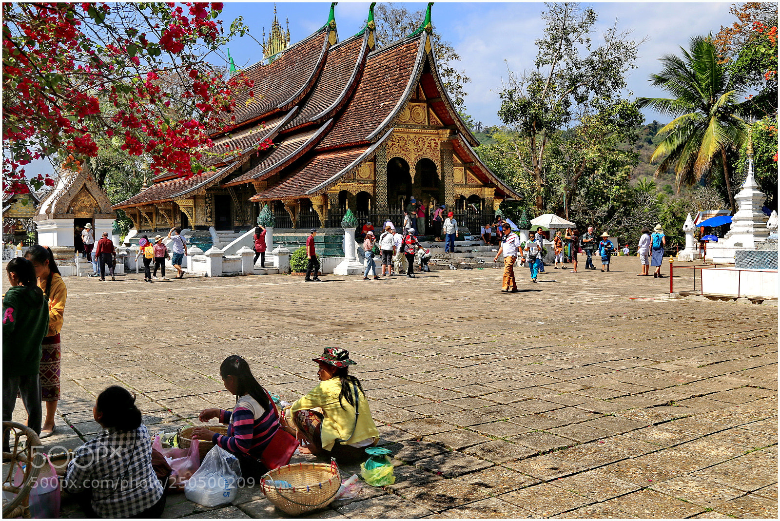 Canon EOS 6D + Canon EF 24-105mm F4L IS USM sample photo. Wat xieng thong temple photography