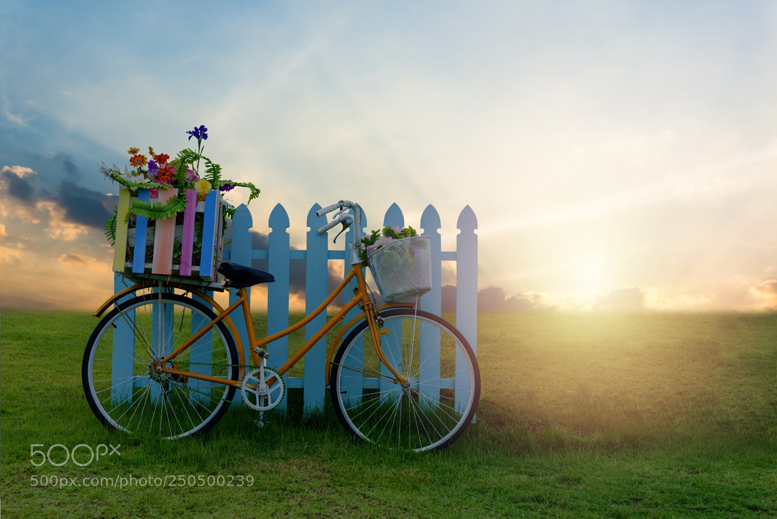 Nikon D610 sample photo. Bicycle with flower crate photography