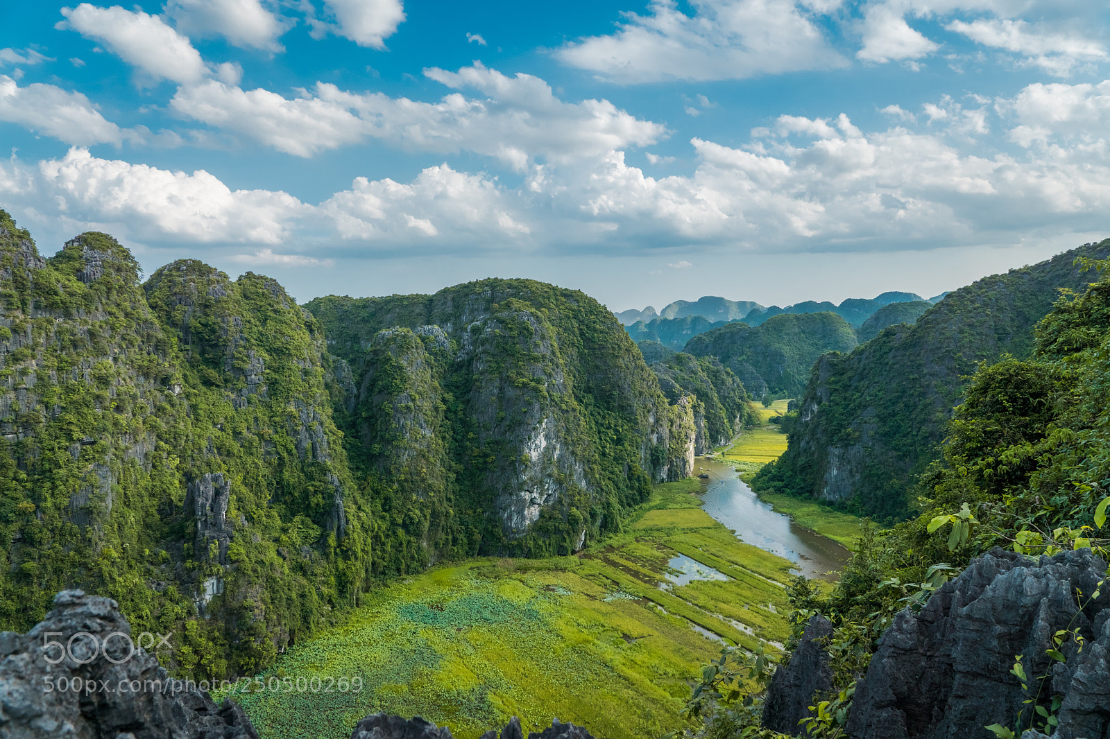 Sony ILCA-77M2 sample photo. Mua cave-ninh binh photography