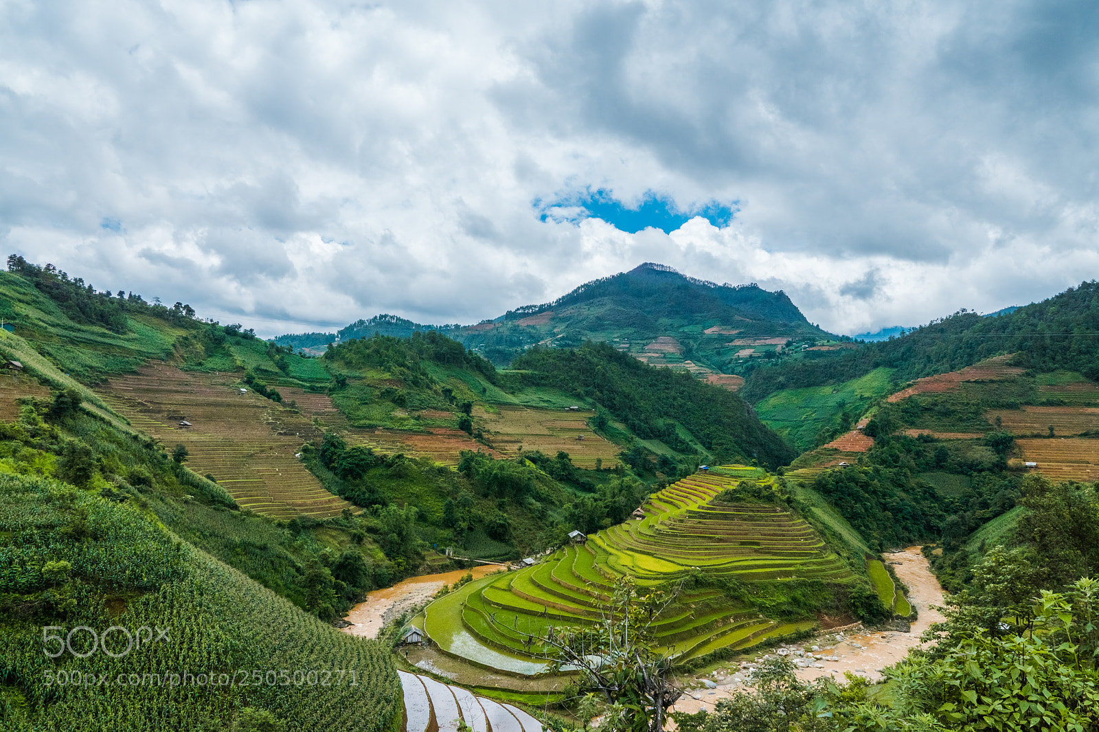 Sony ILCA-77M2 sample photo. Mu cang chai-tu l photography