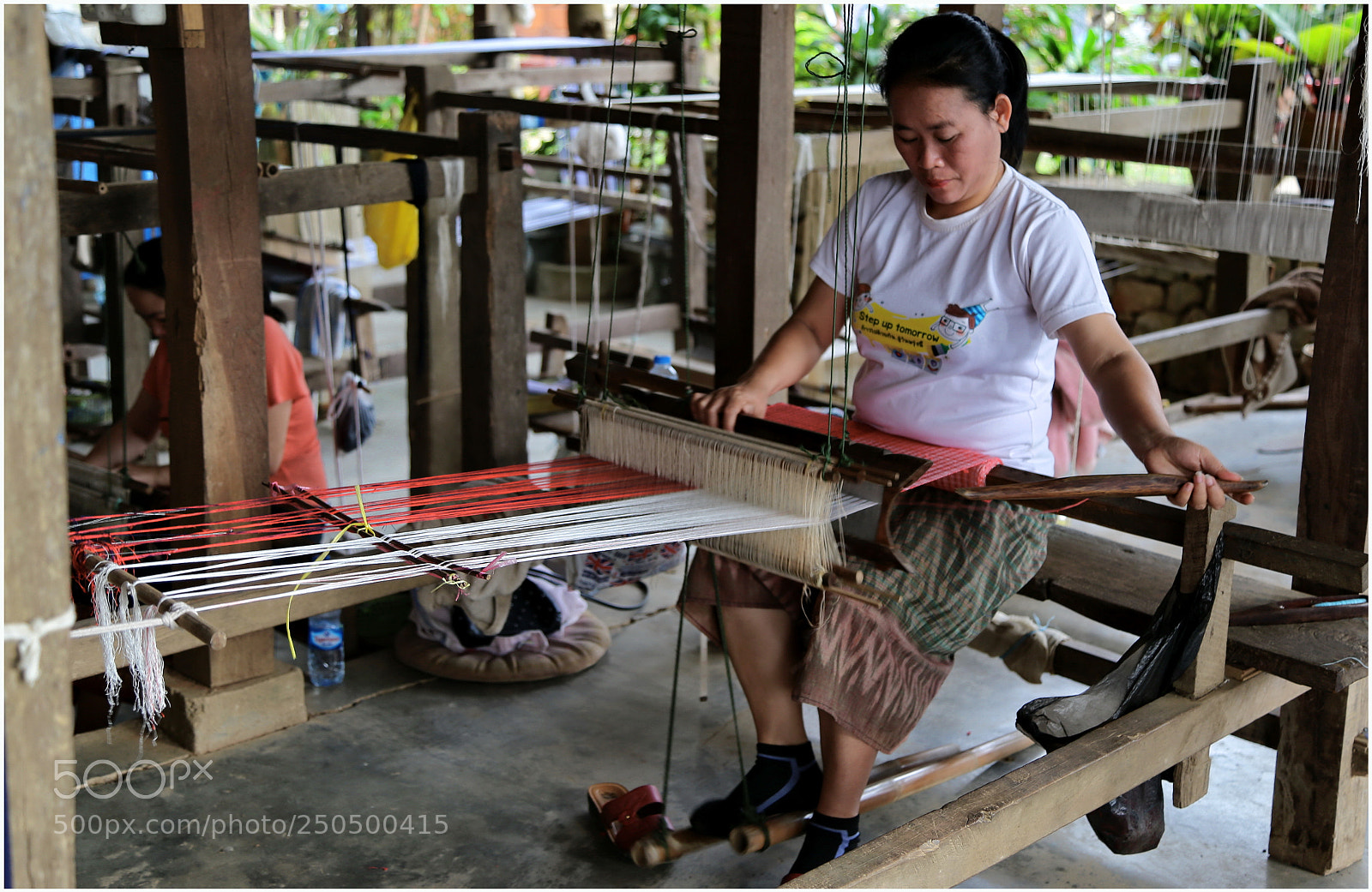 Canon EOS 6D + Canon EF 24-105mm F4L IS USM sample photo. Weaver at ban xang photography