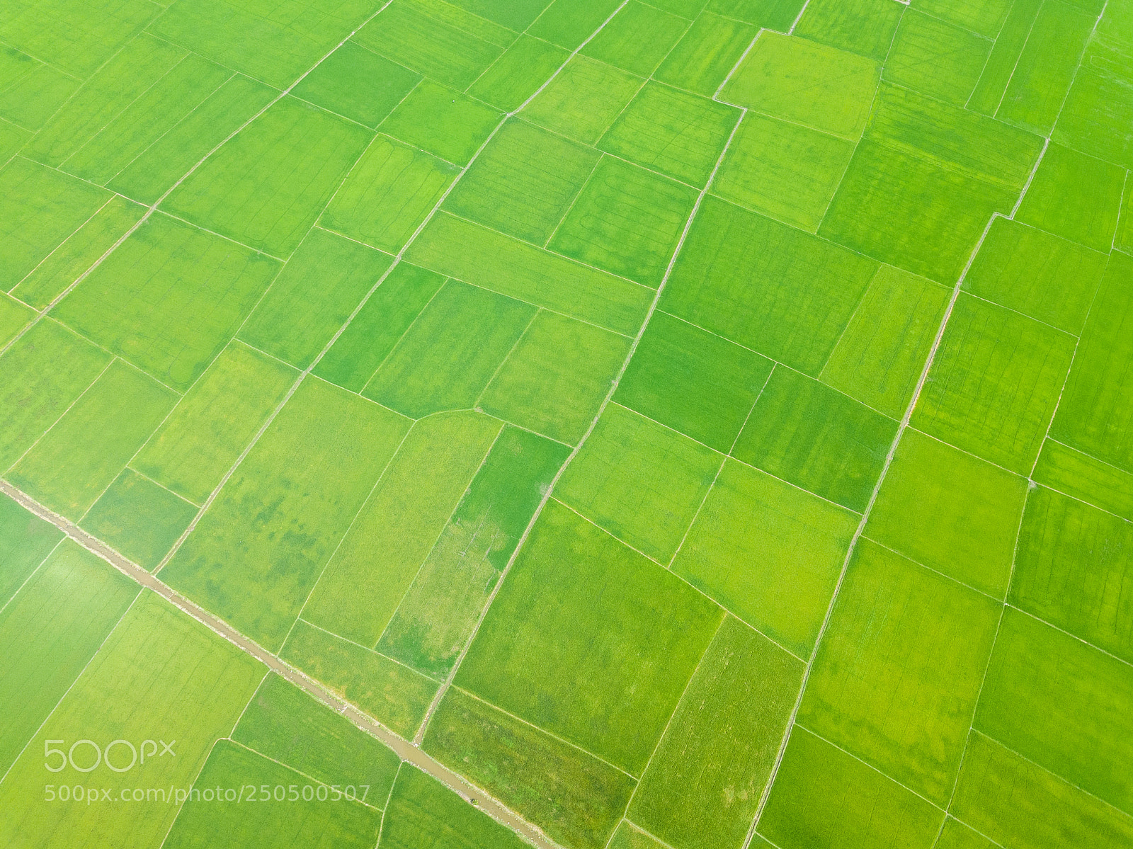 DJI FC220 sample photo. Pano photography