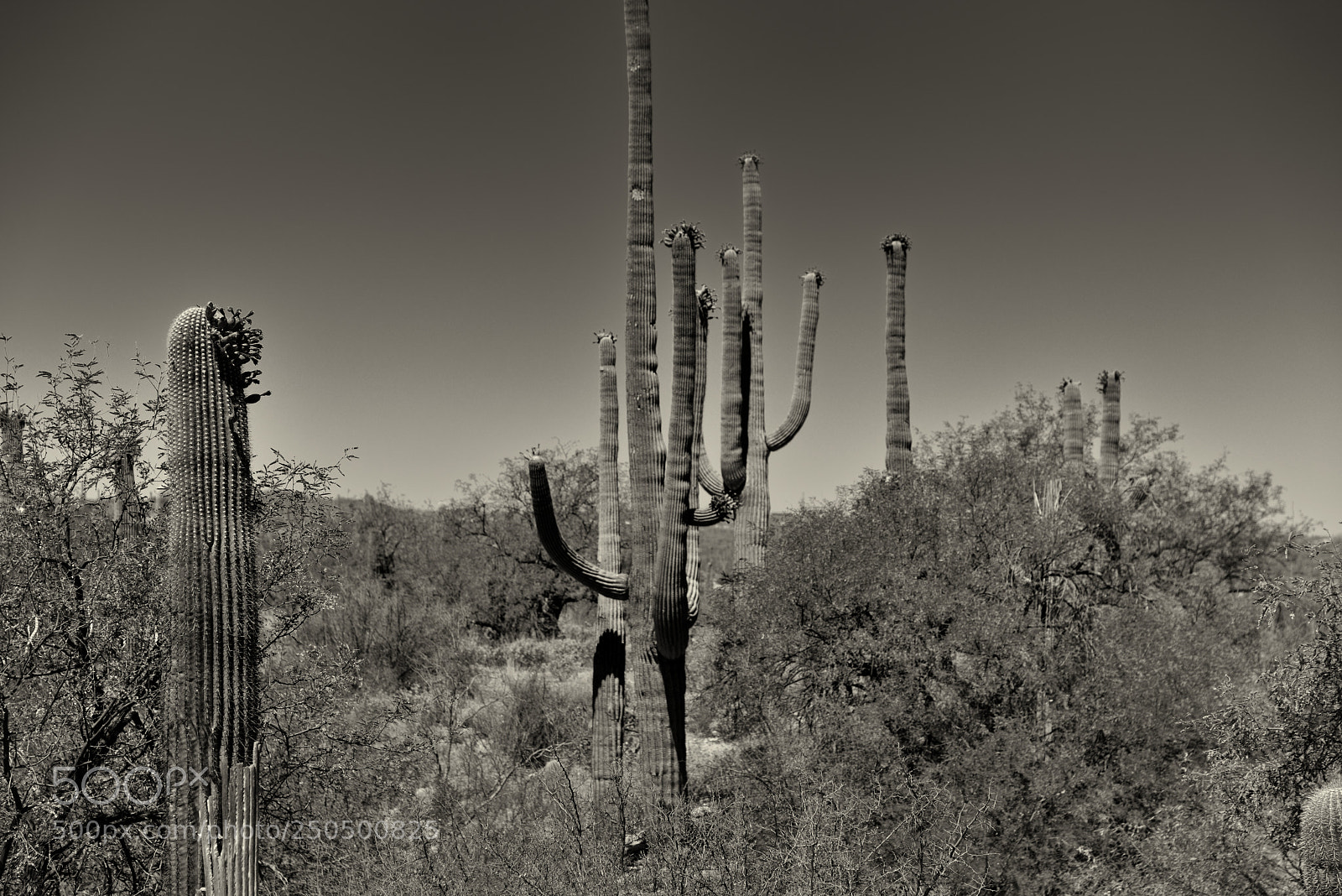 Nikon D800E sample photo. On the garwood trail photography