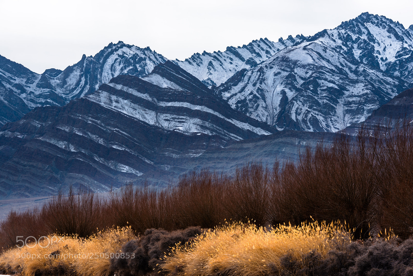 Nikon D800 sample photo. Colours of winter landscape photography