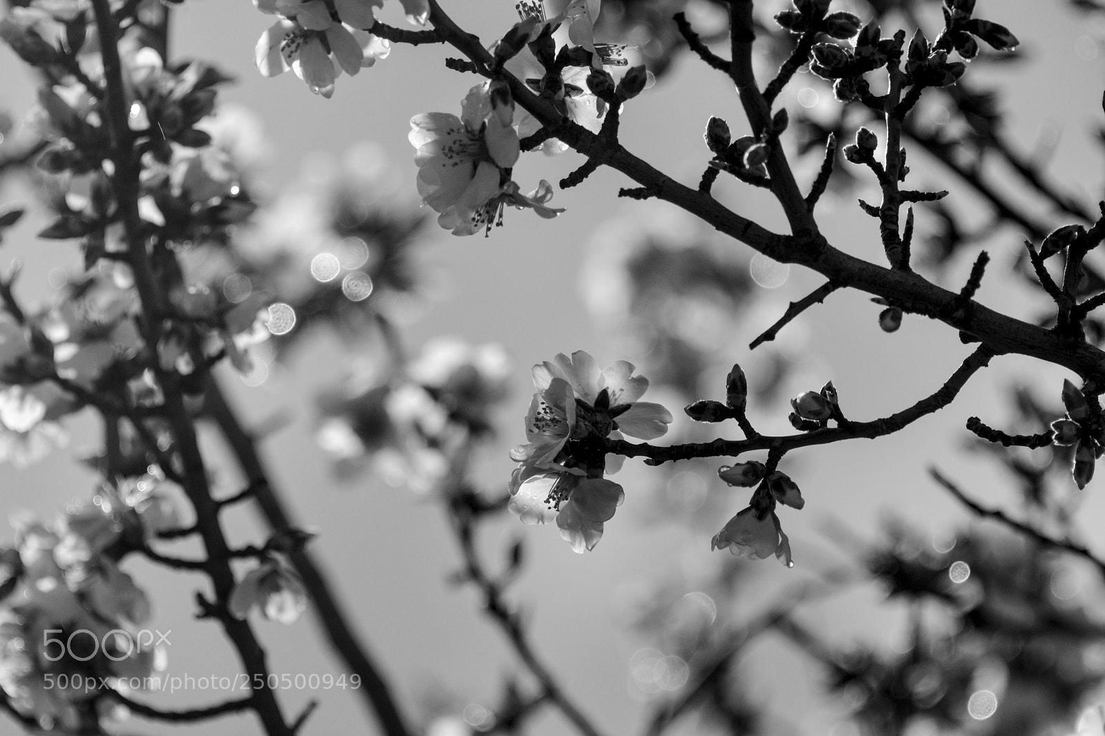 Nikon D7100 sample photo. Jpg copia photography