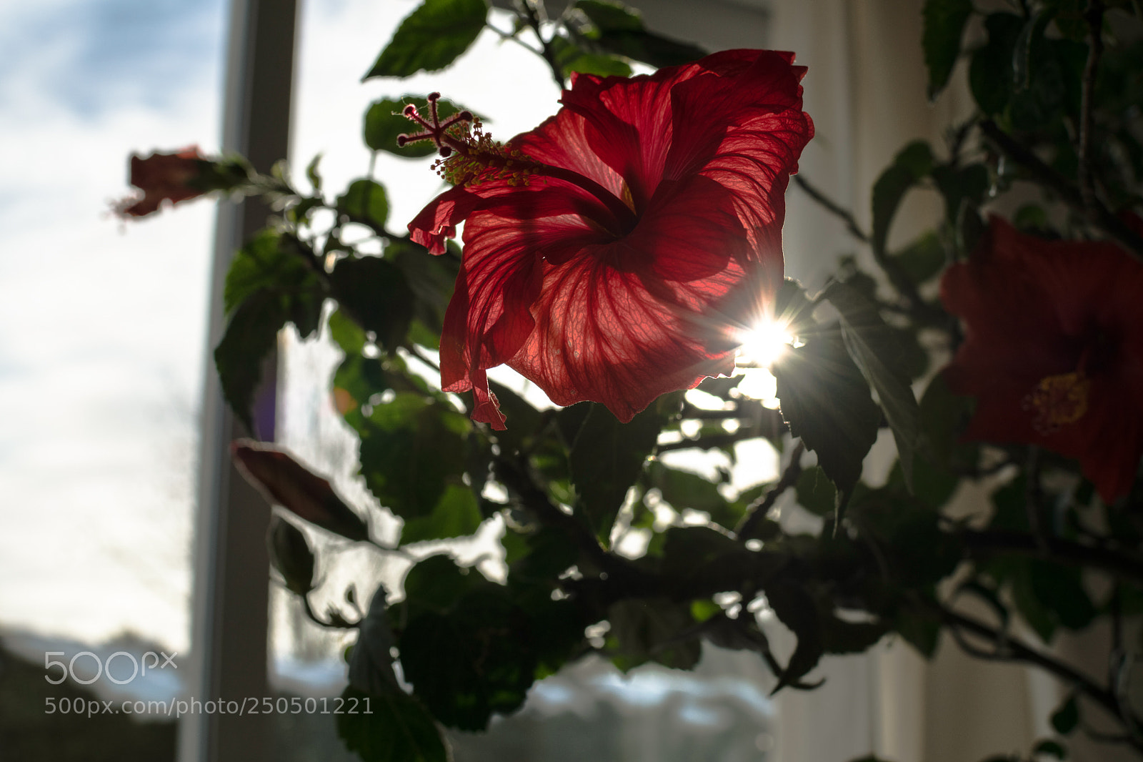 Nikon D5300 sample photo. Untitled photography