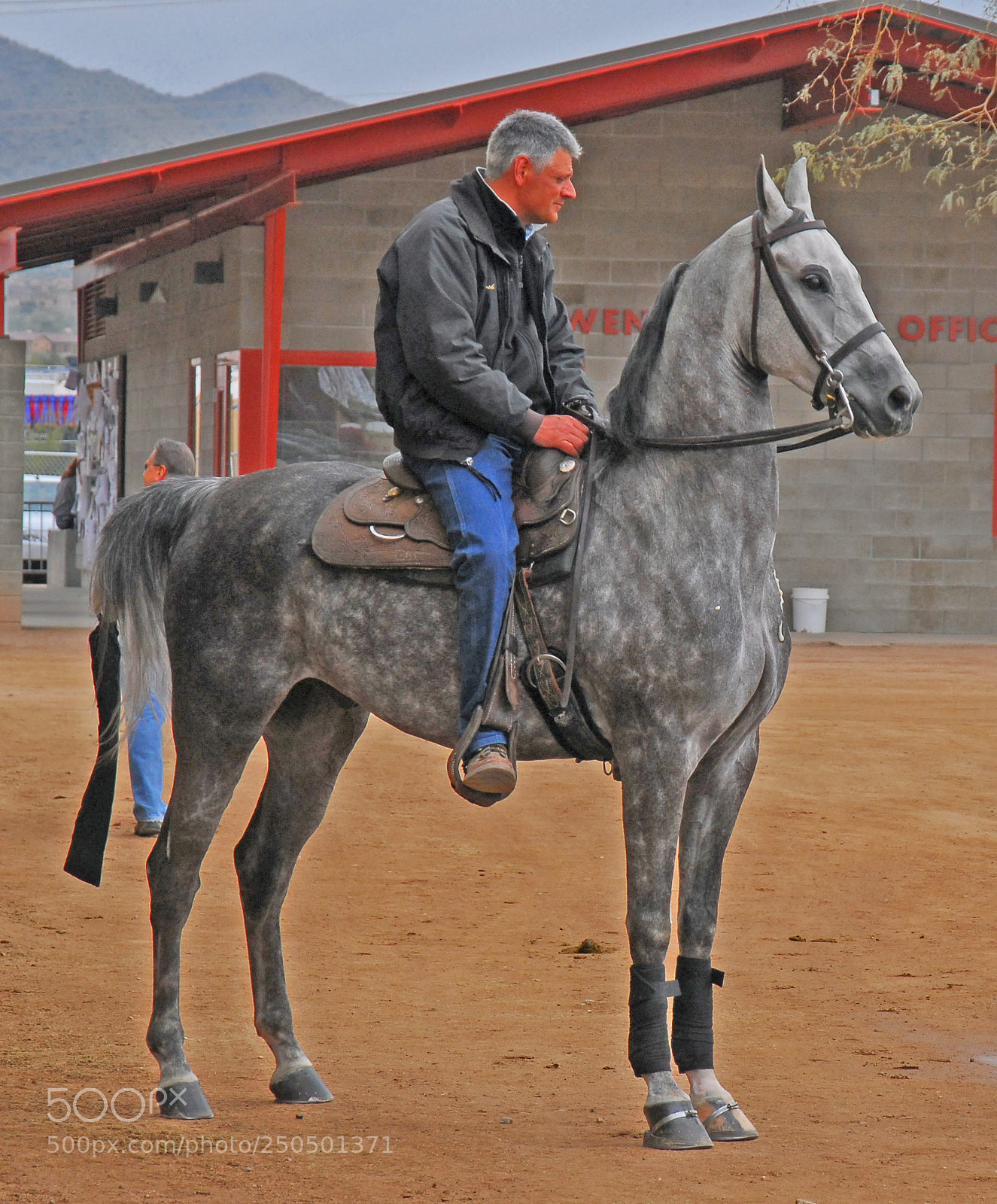 Nikon D200 sample photo. Scottsdale arabian horse show. photography