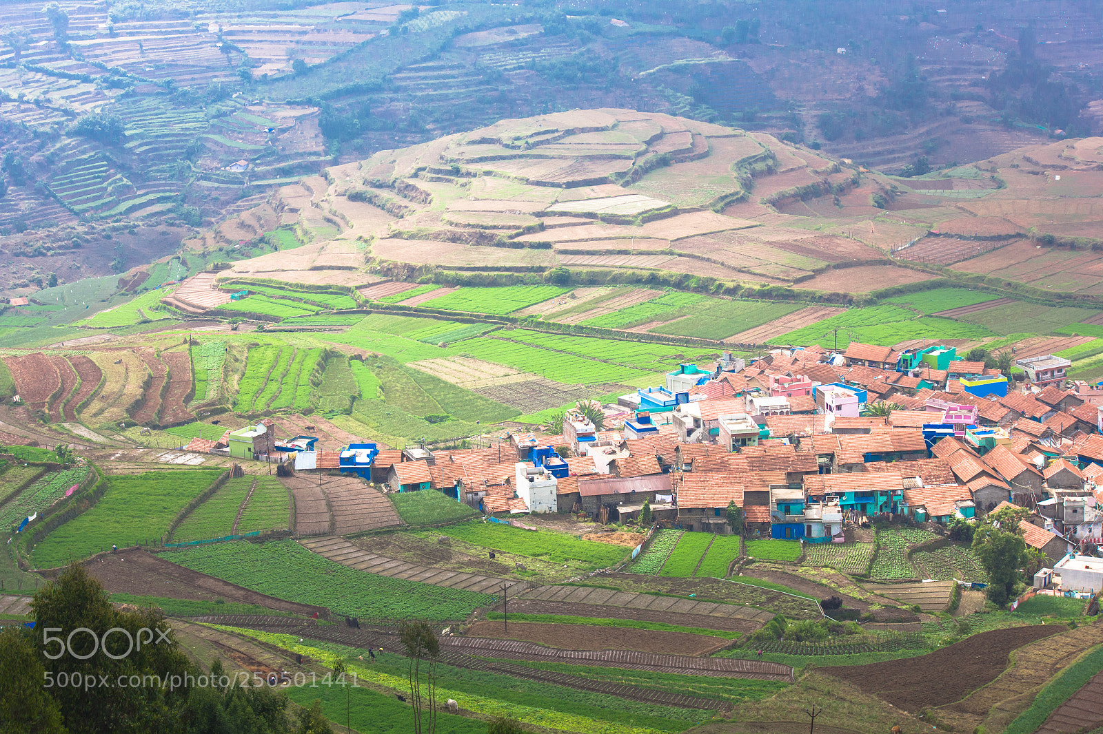 Canon EOS 550D (EOS Rebel T2i / EOS Kiss X4) sample photo. Poombarai village view, kodaikanal photography