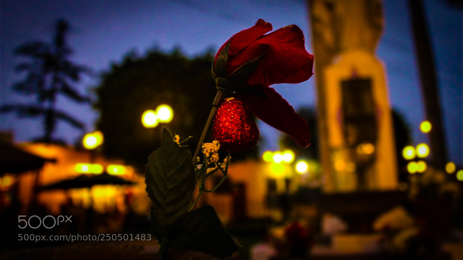 Canon EOS 1100D (EOS Rebel T3 / EOS Kiss X50) sample photo. Naturaleza nocturna photography