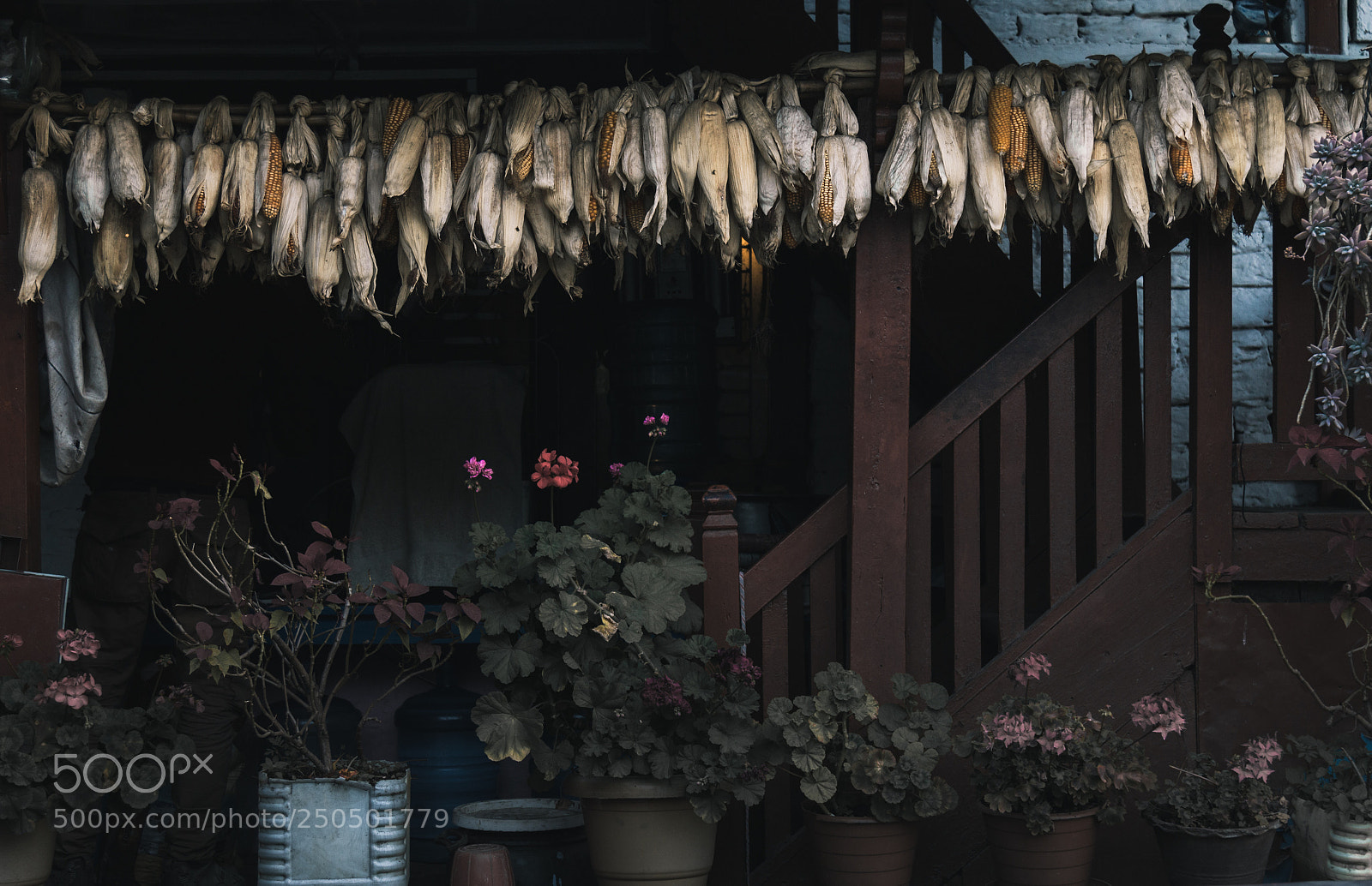 Canon EOS 70D sample photo. Jhinu guest house photography