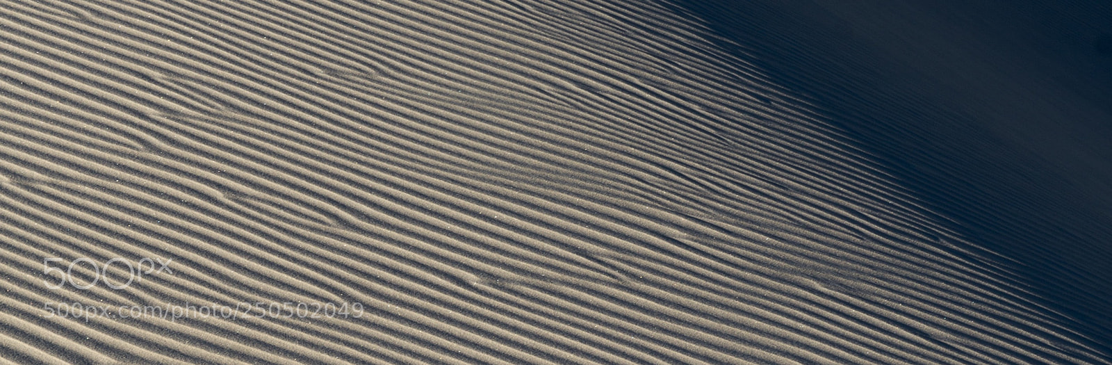 Sony Alpha a5000 (ILCE 5000) sample photo. Some wind and some photography