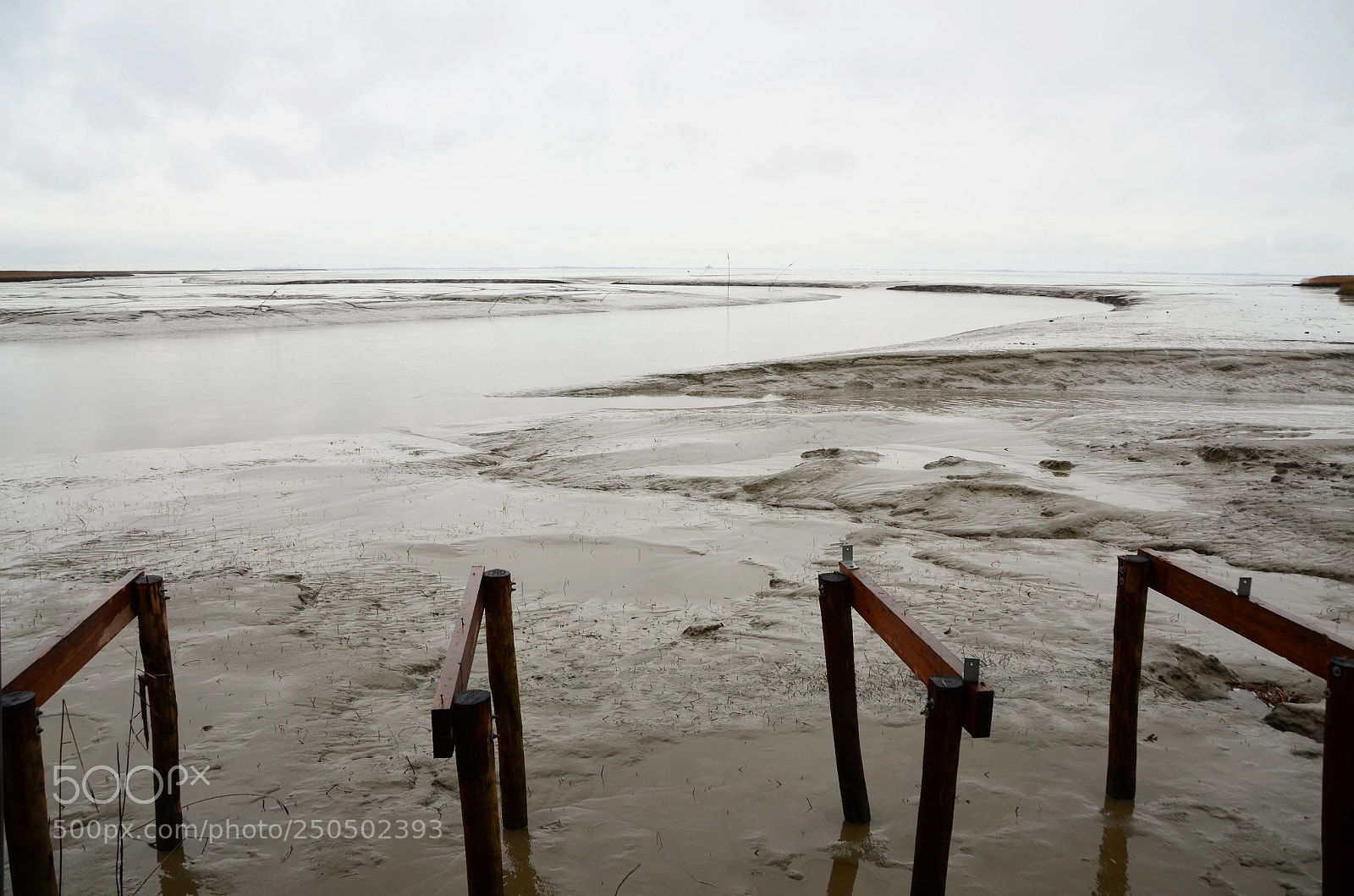Nikon D5100 sample photo. Grey day dollard groningen photography