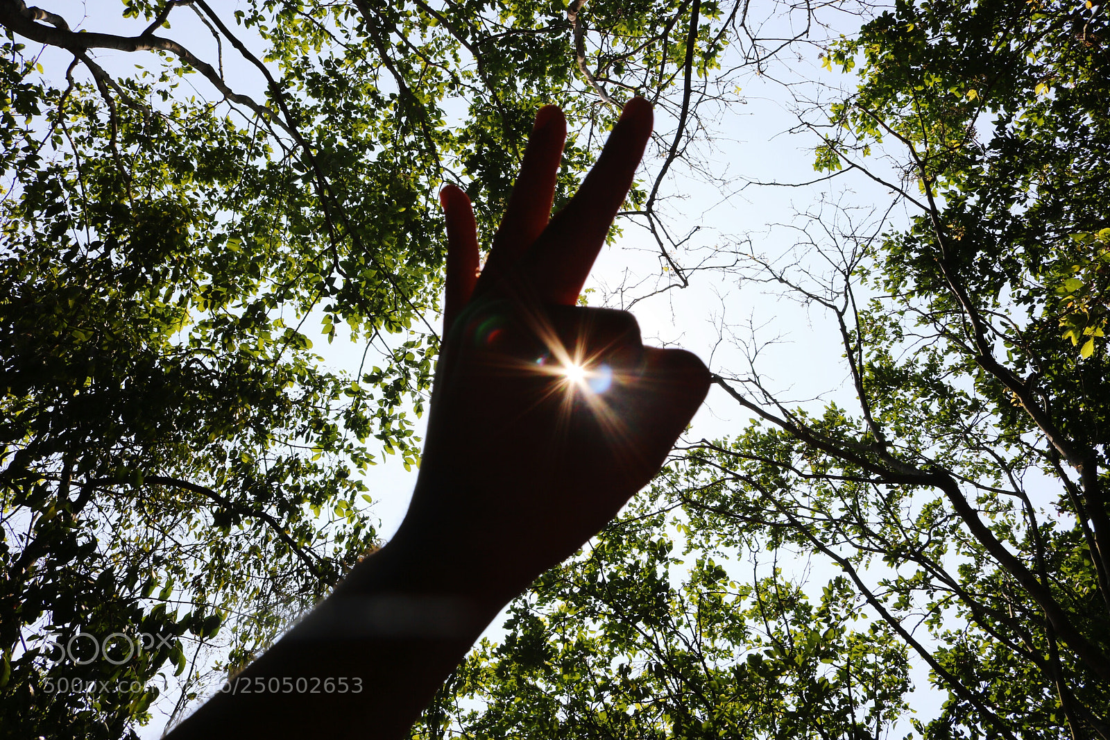 Canon EOS 750D (EOS Rebel T6i / EOS Kiss X8i) sample photo. Super photography