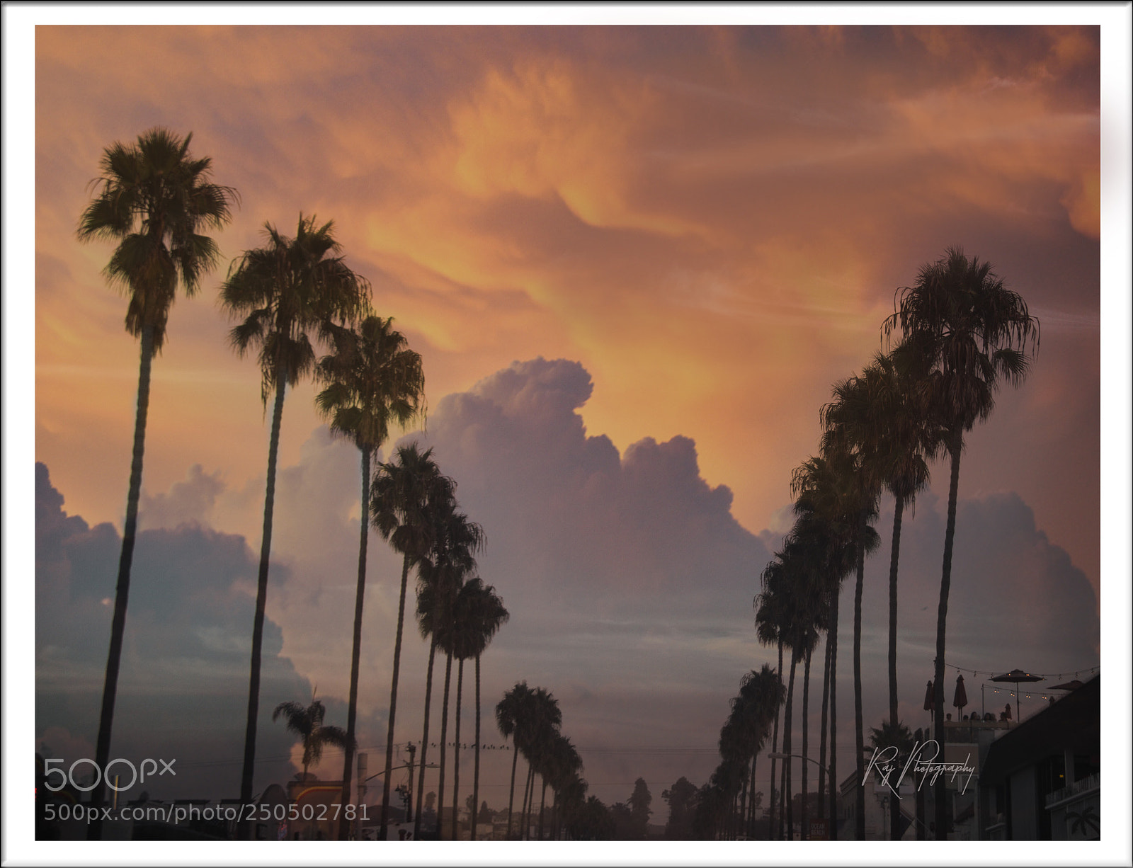 Canon EOS 60D sample photo. Classic california with palm photography