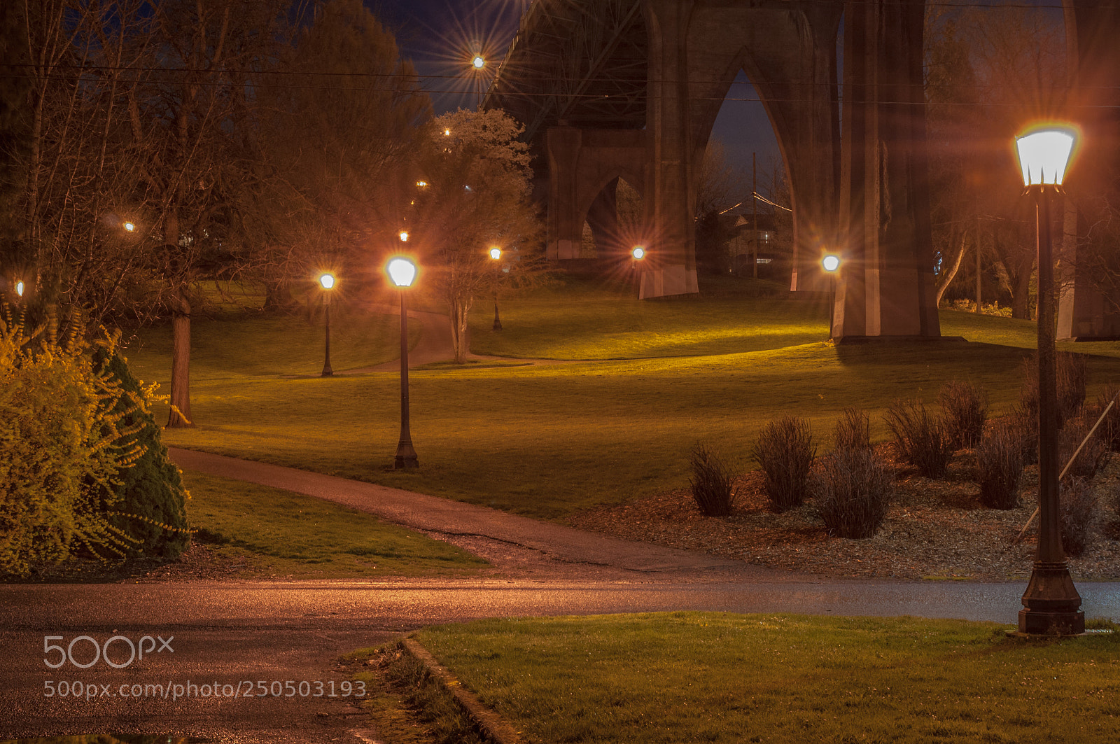 Nikon D5000 sample photo. The park in the photography