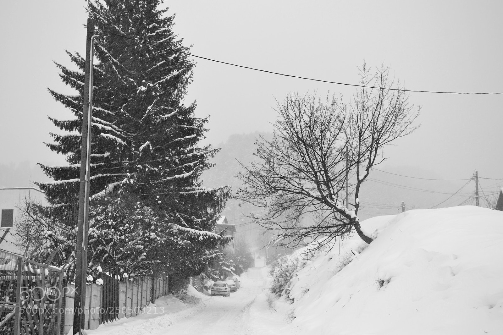 Nikon D3100 sample photo. Last winter photography
