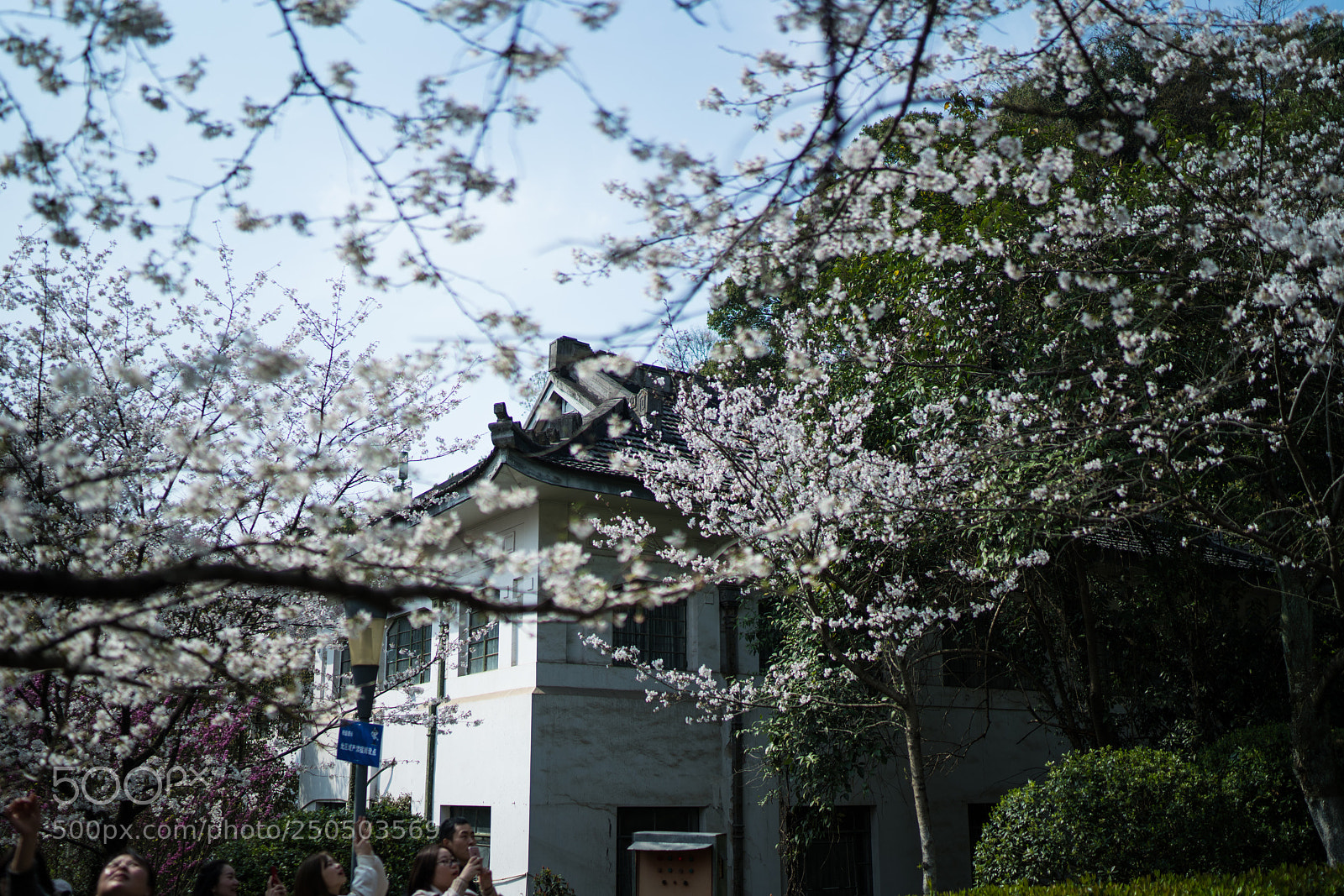 Sony a7R III sample photo. Untitled photography
