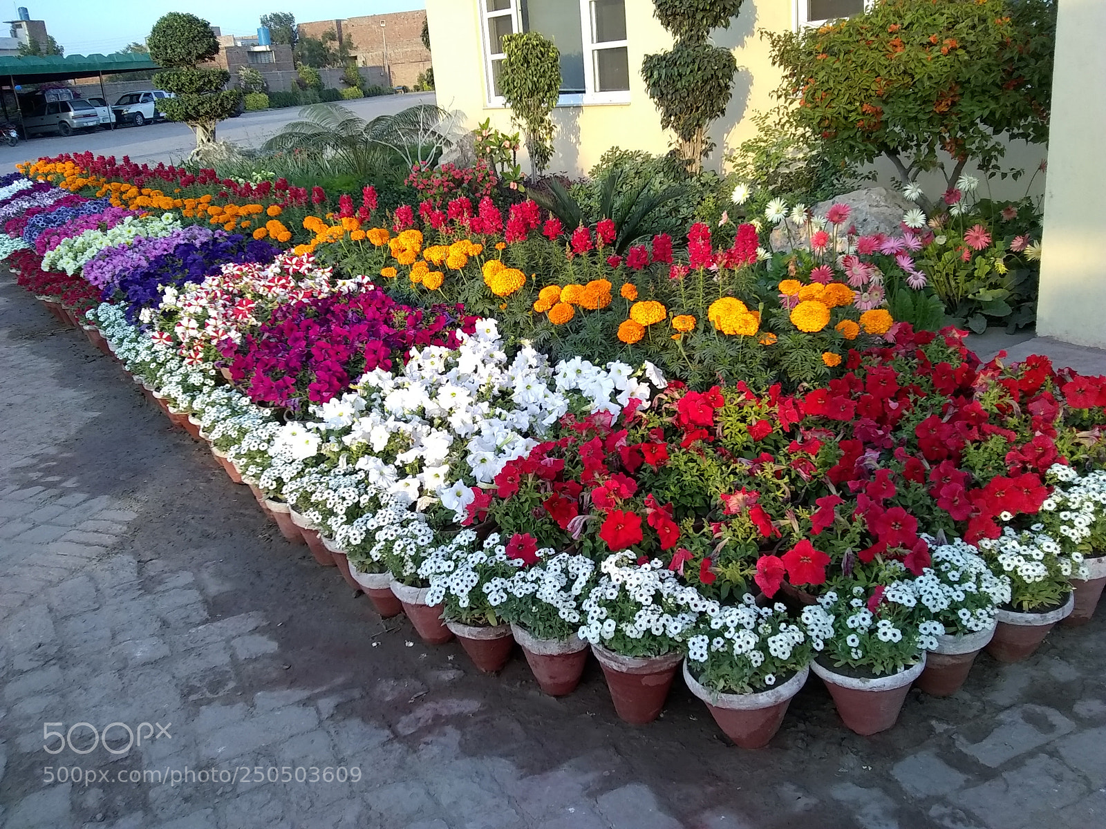 Motorola Moto E4 sample photo. Untitled photography
