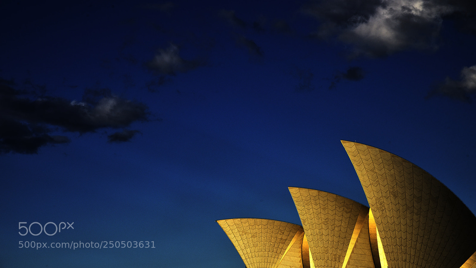 Nikon D810 sample photo. Sails at sunset photography