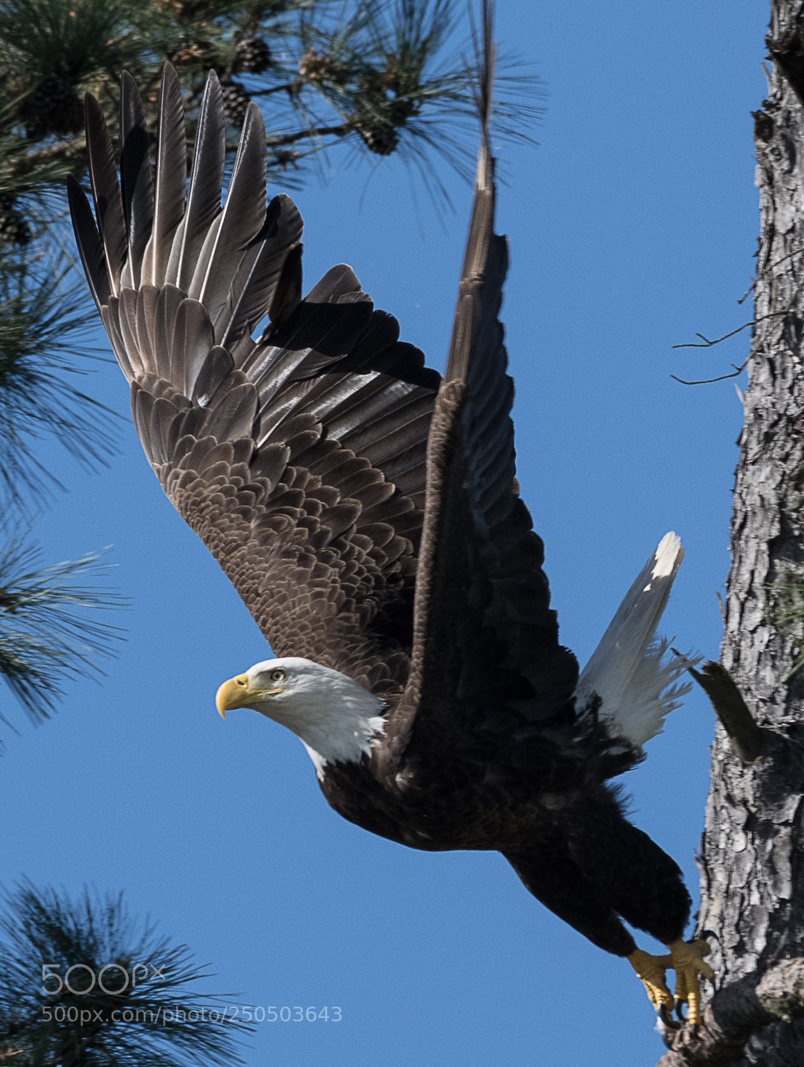 Nikon D850 sample photo. Launch point photography
