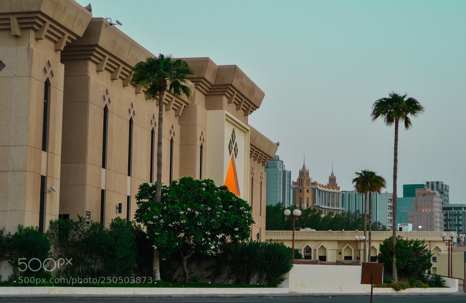 Nikon D3100 sample photo. Untitled photography