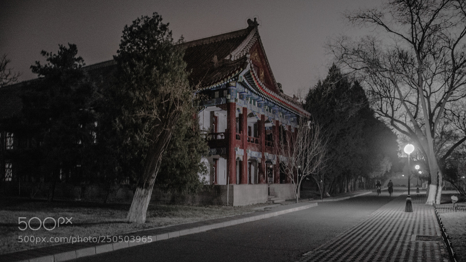 Nikon D7100 sample photo. Peking university under night photography