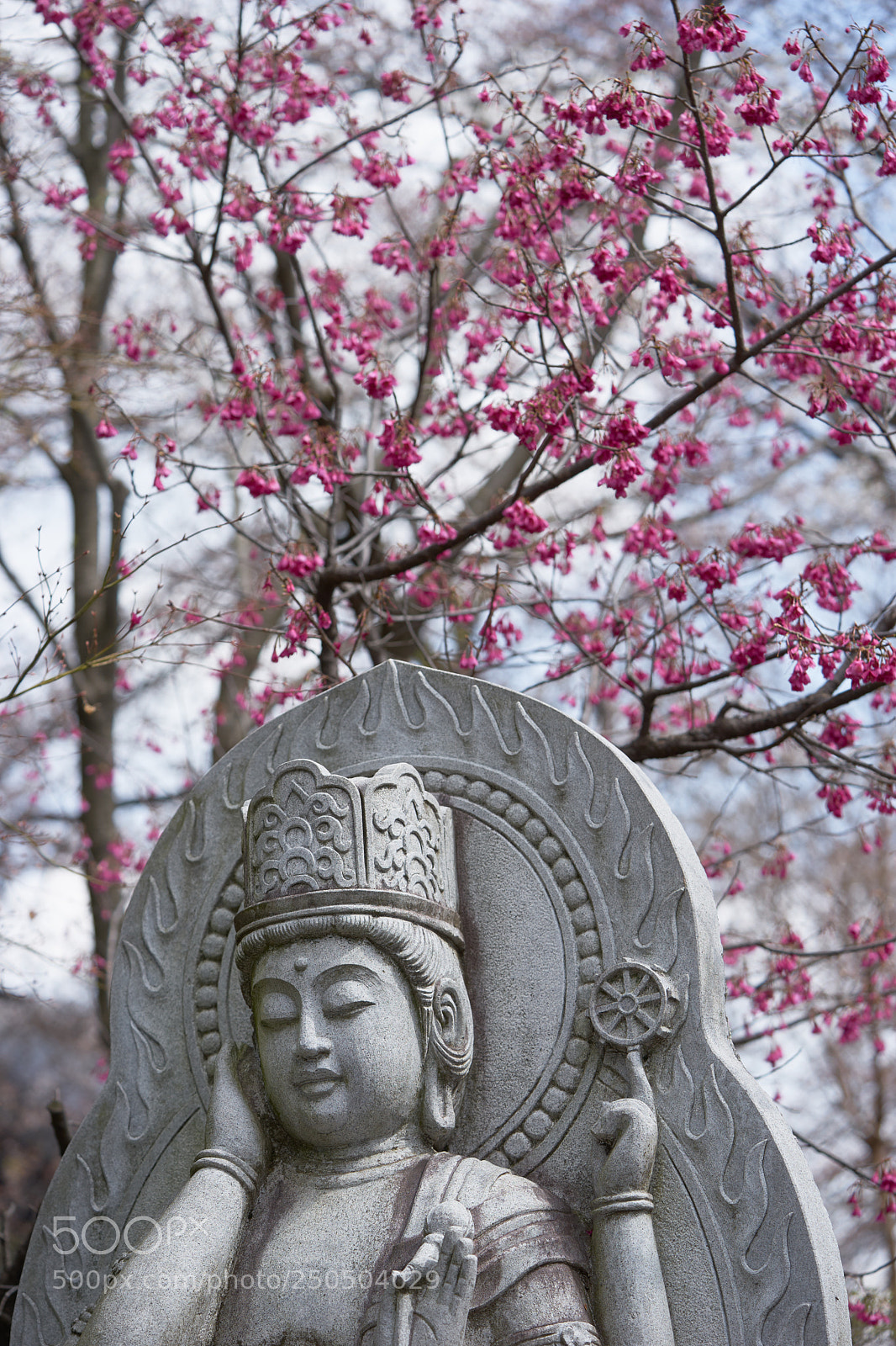 Sony a7 sample photo. Street 277 photography