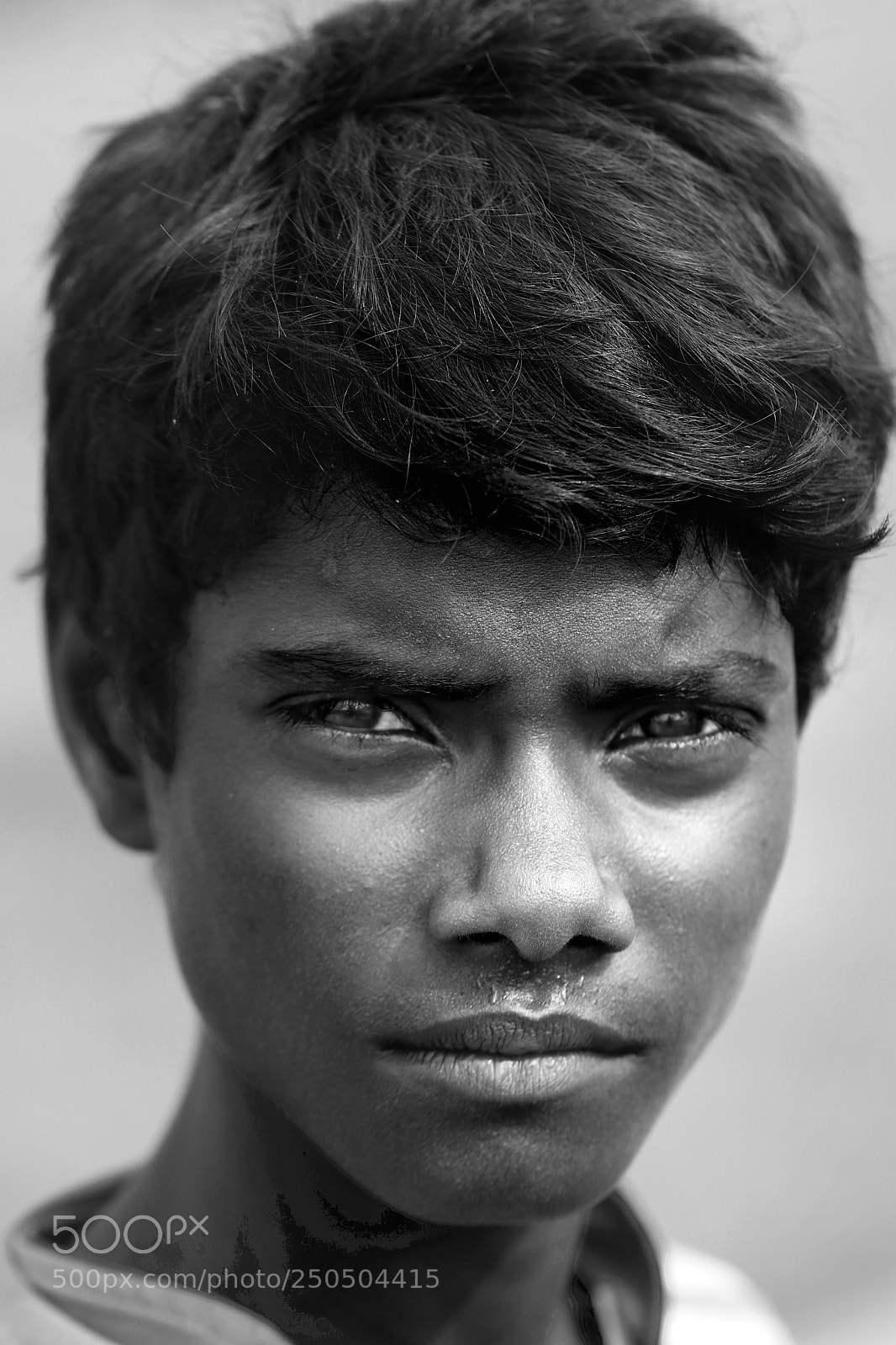 Canon EOS 80D sample photo. Powerful photography