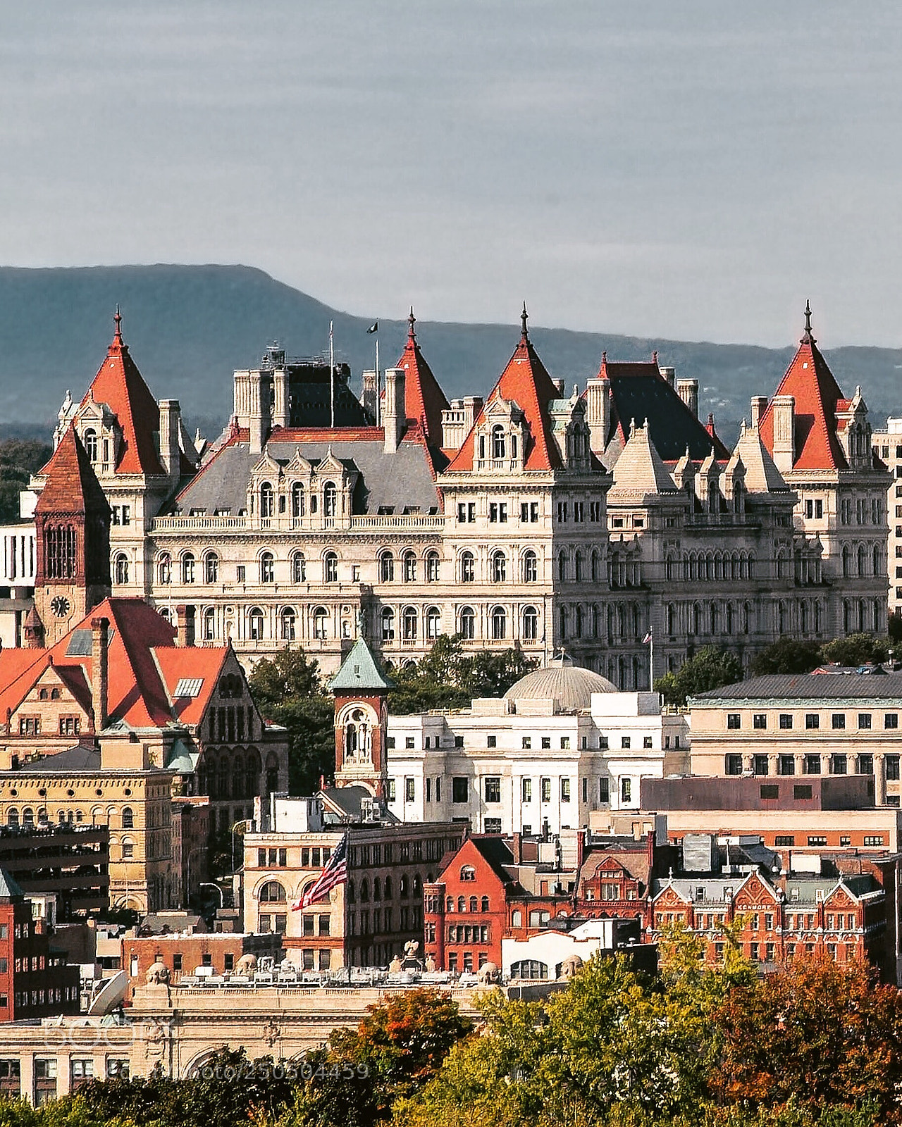 Fujifilm FinePix S3 Pro sample photo. New york state capitol photography
