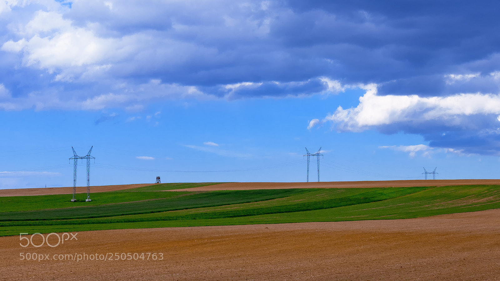 Canon EOS 80D sample photo. Power line photography