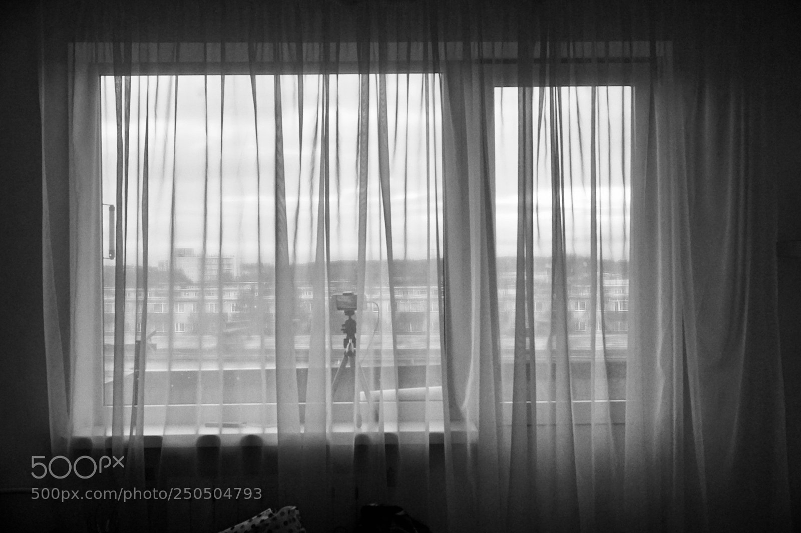 Sony a5100 sample photo. Untitled photography